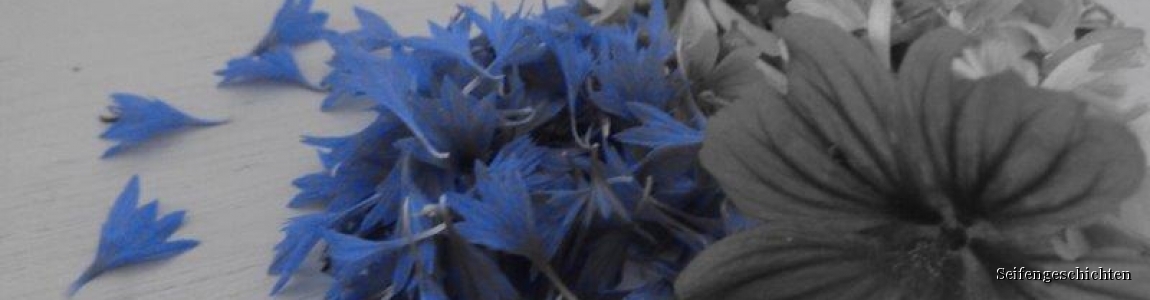 http://www.seifengeschichten.at/data/image/thumpnail/image.php?image=131/seifengeschichten_kornblume_blau_grau_article_2653_8.jpg