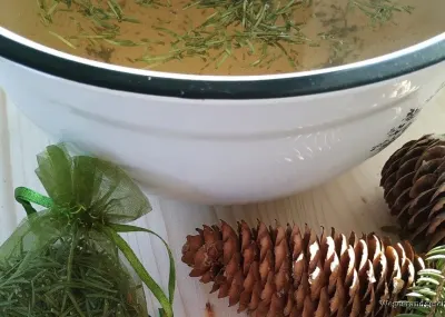 Schüssel mit Fichtennadelfußbad, daneben Zapfen und ein Säckchen Nadeln