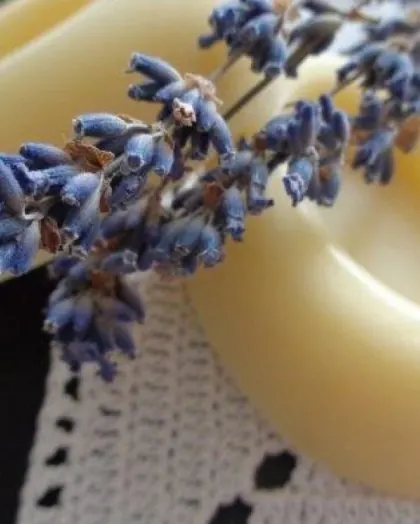 Ovale Lavendelseifen mit getrockneten Lavendelblüten