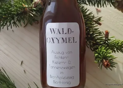 Flasche Waldoxymel zwischen Tannenzweigen